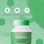 Moringa Capsules Manufacturer - Natural Green Antioxidant for Energy & Skin