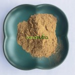 Matcha Green Tea Extract Factory - 50%-98% EGCG
