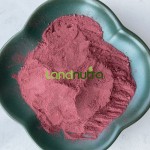 White Mulberry Extract Factory - Anthocyanin Cosmetic