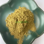 Holy Basil Extract Factory - Thai Tulsi Stress Support