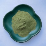 Green Pepper Powder Factory - Dehydrated Super Food
