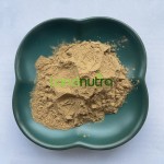 石榴皮提取物供应商-40%鞣花酸
