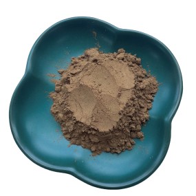 Enoki Mushroom Extract Manufacturer - Popular Edible Fungus