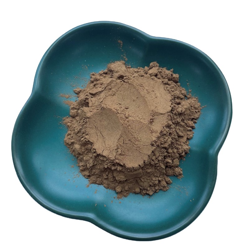 Enoki Mushroom Extract Manufacturer - Popular Edible Fungus