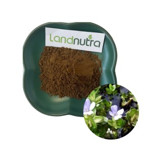 Bacopa Monnieri Extract Factory - 50% Bacosides Powder