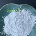 GABA Powder Supplier - L-Theanine Rhodiola Magnesium