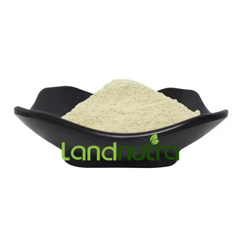 Urolithin A Powder Manufacturer - Food Grade 98%