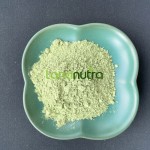 Super Greens Powder Manufacturer - Custom Vegan Organic
