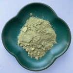 Barley Grass Powder Supplier - Organic Plant Extract