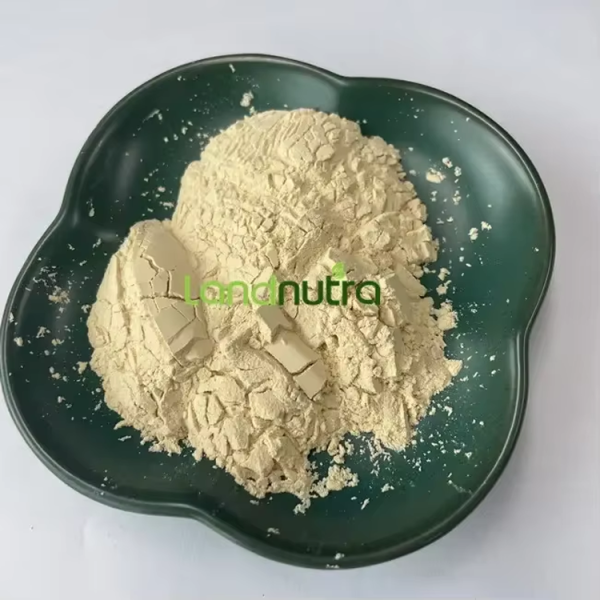 Morus Alba Extract Supplier - 10:1 Mulberry Extract