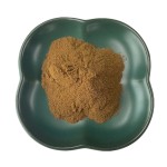 Gymnema Sylvestre Powder Factory - 25% Gymnemic Acid