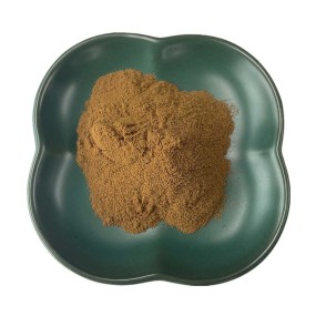 Gymnema Sylvestre Powder Factory - 25% Gymnemic Acid