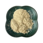 Hydrolyzed Protein Powder Manufacturer - Vegetable Wheat