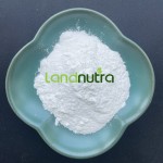 β烟酰胺单核苷酸供应商-食品级