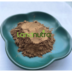 金针菇提取物生产厂家-受欢迎食用菌