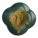 橄榄叶提取物供应商-25%植物提取物