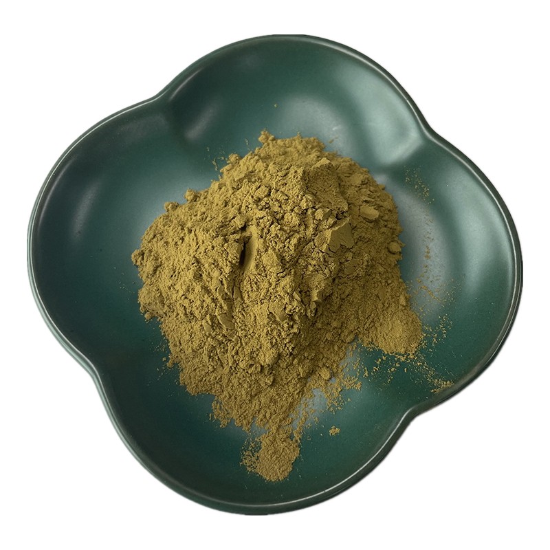 Olive Leaf Extract Supplier - 25% Plant Extract