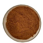 绿茶提取物供应商-90%多酚护肤