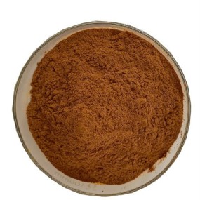 Green Tea Extract Supplier - 90% Polyphenol Skin Care