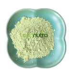 Super Greens Powder Manufacturer - Custom Vegan Organic