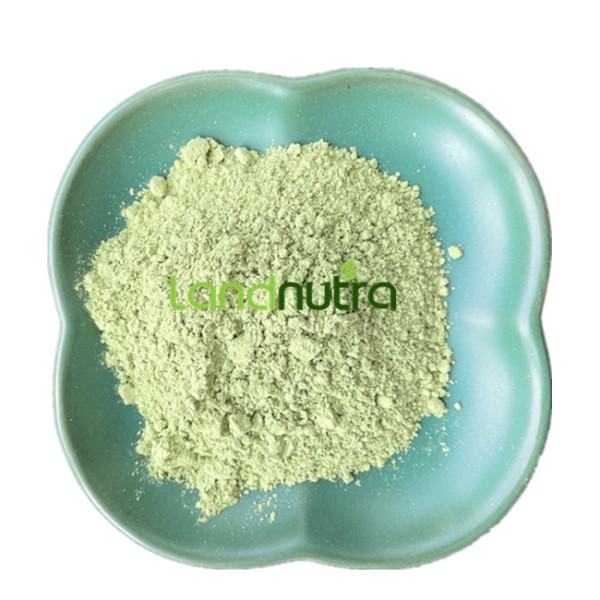 Super Greens Powder Manufacturer - Custom Vegan Organic