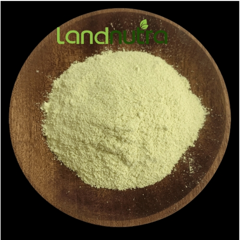 Urolithin A Supplement Supplier - 98% Liposomal Powder