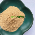 白纽扣蘑菇提取物供应商-健康促进