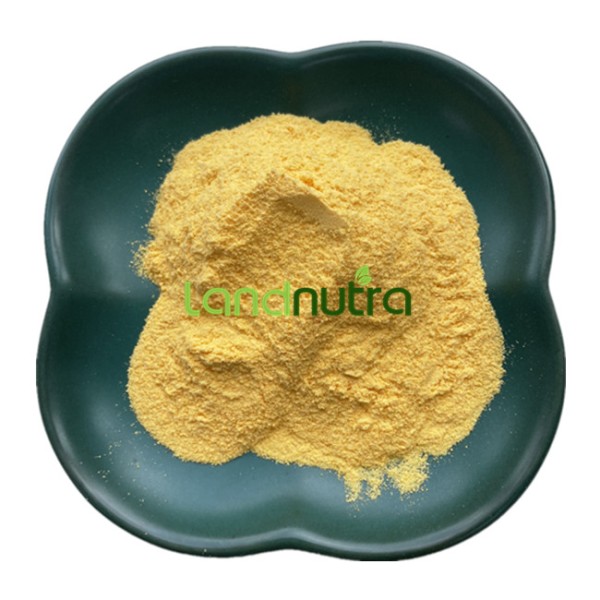 姜黄素脂质体粉末供应商-10% 50%姜黄