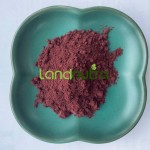 Lycopene Powder Supplier - 10% Tomato Extract Antioxidant