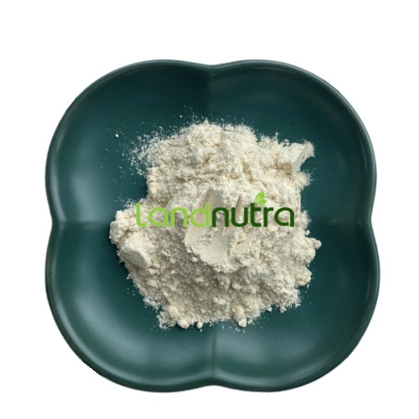脂质体维生素C粉末工厂-50% 80%抗坏血酸