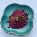 Lycopene Powder Supplier - 10% Tomato Extract Antioxidant