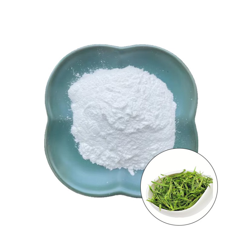L-Theanine Powder Manufacturer - Green Tea Extract HPLC