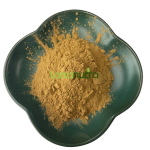 Brown Algae Extract Factory - Green Seaweed Powder