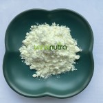 西兰花种子提取物供应商-1%萝卜硫素粉末