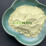 Urolithin A Powder Manufacturer - CAS 1143-70-0 99%