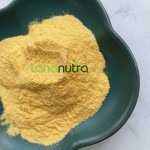 姜黄素脂质体粉末供应商-10% 50%姜黄