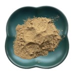 石榴皮提取物供应商-40%鞣花酸