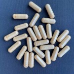 亚精胺粉末供应商-小麦胚芽提取物