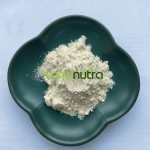 Wheat Germ Extract Factory - 1% 99% Spermidine