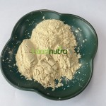 Hydrolyzed Protein Powder Manufacturer - Vegetable Wheat
