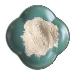 Garlic Extract Powder Supplier - CAS 539-86-6 Dehydrated