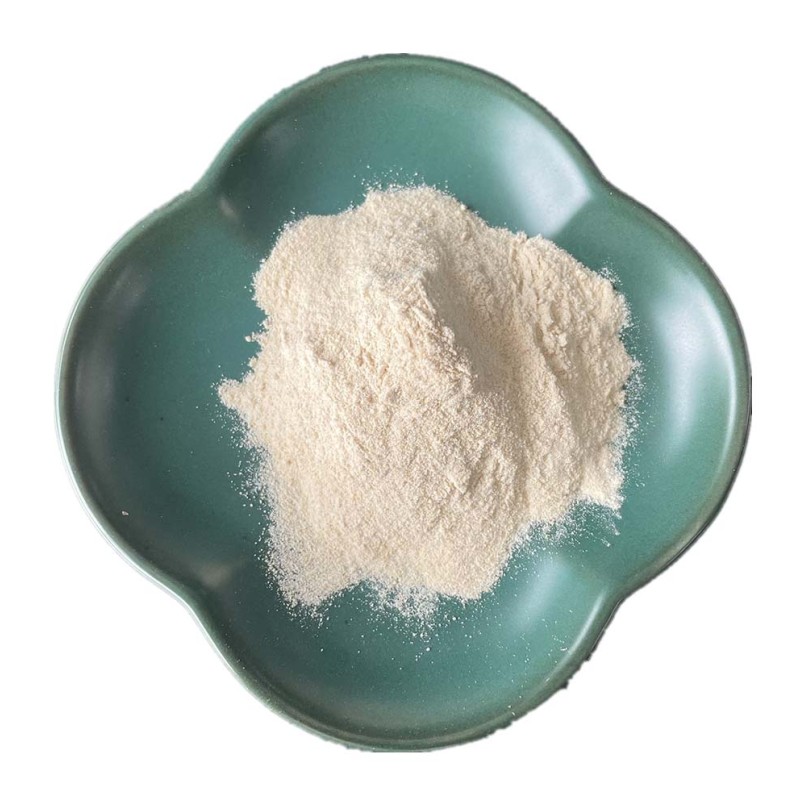 Garlic Extract Powder Supplier - CAS 539-86-6 Dehydrated