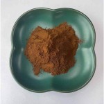 灵芝蘑菇提取物生产厂家-30%-50%多糖