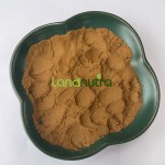 Cinnamon Polyphenol Powder Supplier - 10% 30% Bulk