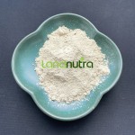 5-HTP Supplement Supplier - Griffonia Simplicifolia Extract
