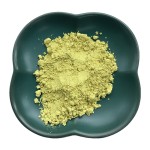 脂质体槲皮素粉末工厂-槐花提取物