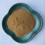 Beef Liver Powder Manufacturer - Freeze Dried Grass Fed