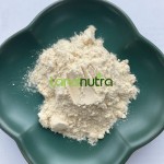 Mung Bean Protein Powder Supplier - 100% Organic