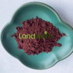 Astaxanthin Powder Manufacturer - Cosmetic Grade Natural
