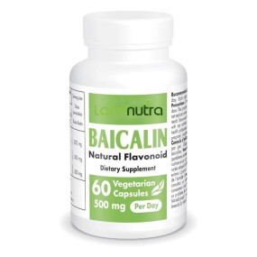 Scutellaria Extract Manufacturer - Baicalin Herb Powder